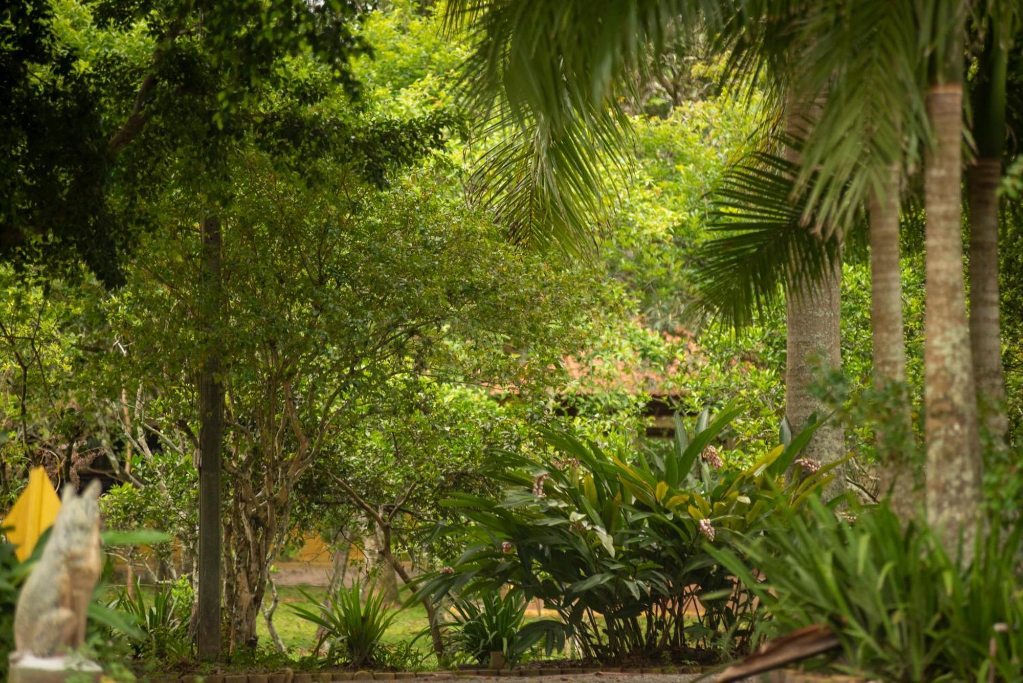 Pousada Chácara Rio Jordão Florianópolis Exterior foto